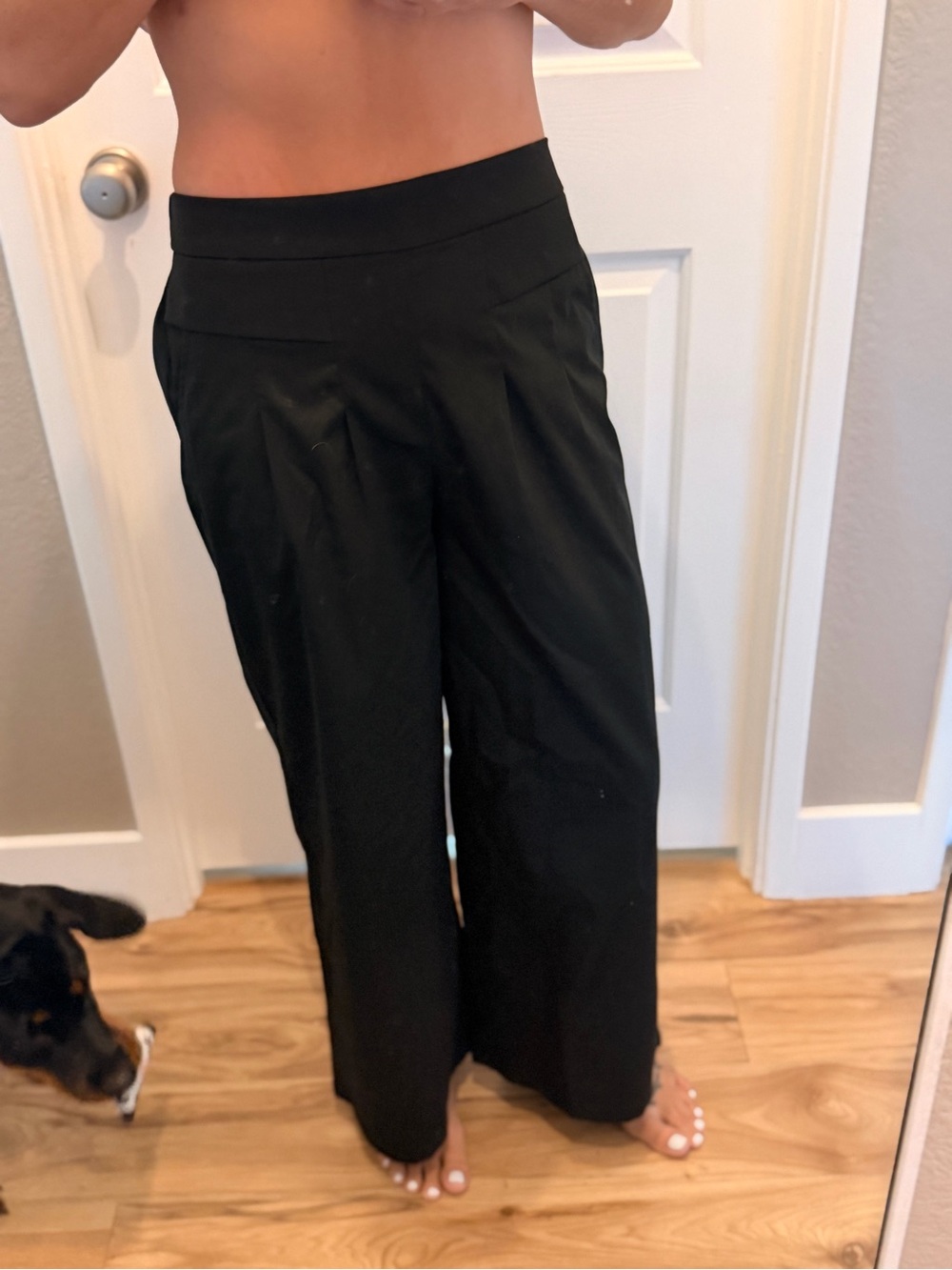 SHEIN Black Wide-Leg Capris with High Elastic Waistband